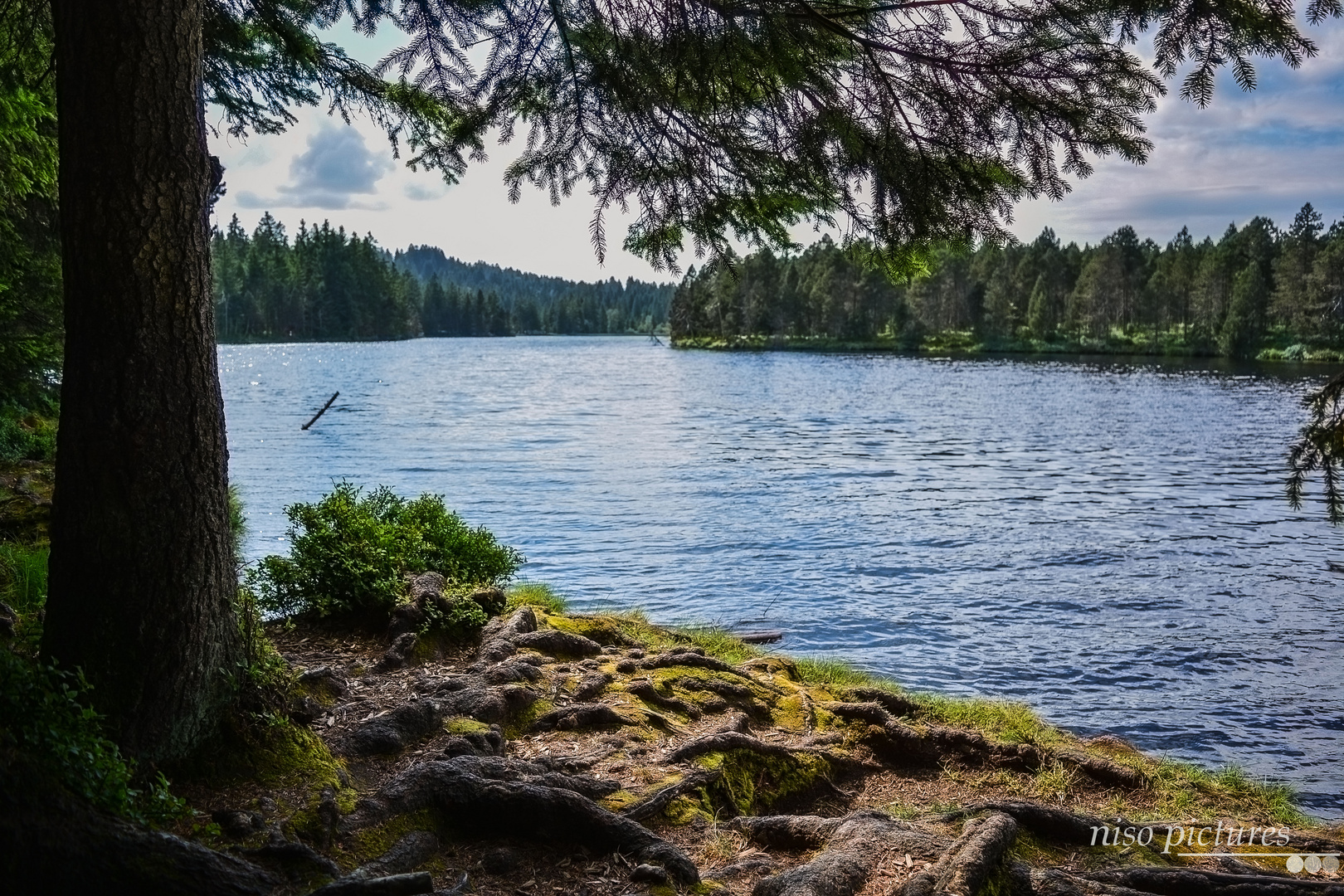 Naturschutzgebiet Etange de la Gruère