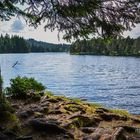 Naturschutzgebiet Etange de la Gruère