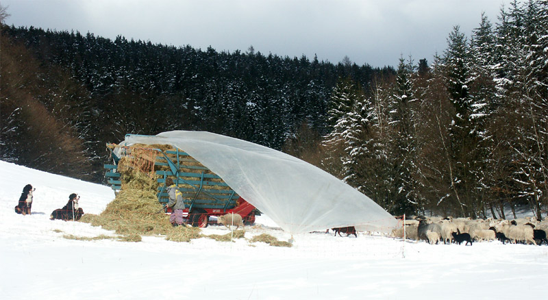 Naturschutzgebiet Eutergrund im Winter 2005