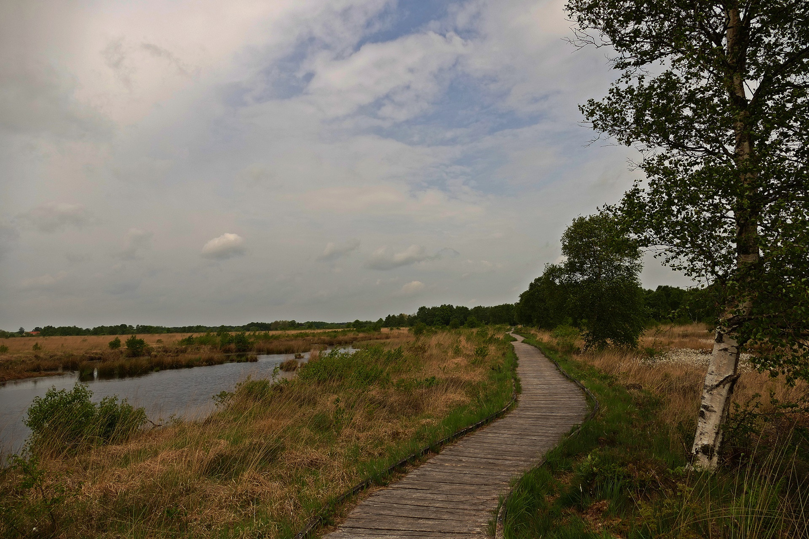 Naturschutzgebiet Eversmeer