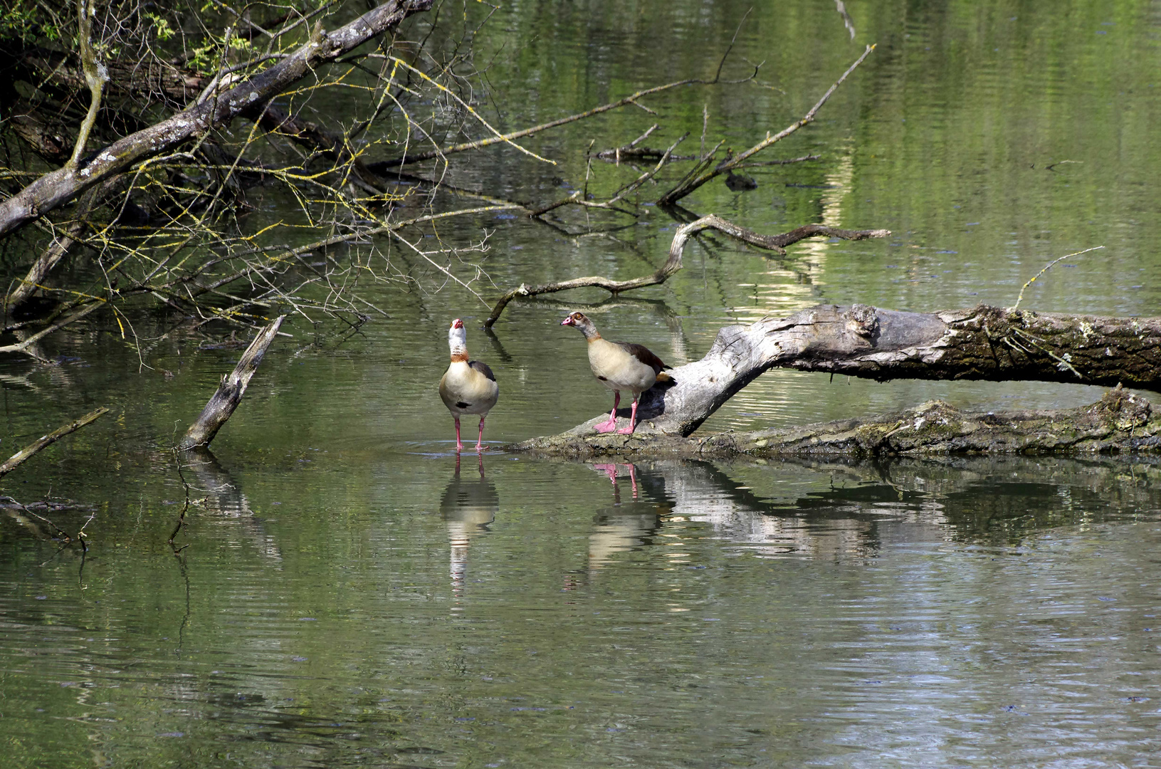 ...Naturschutzgebiet