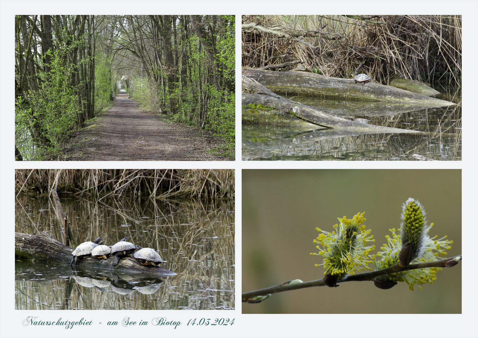 ...Naturschutzgebiet 