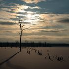 Naturschutzgebiet Gahlenbecker See (I)