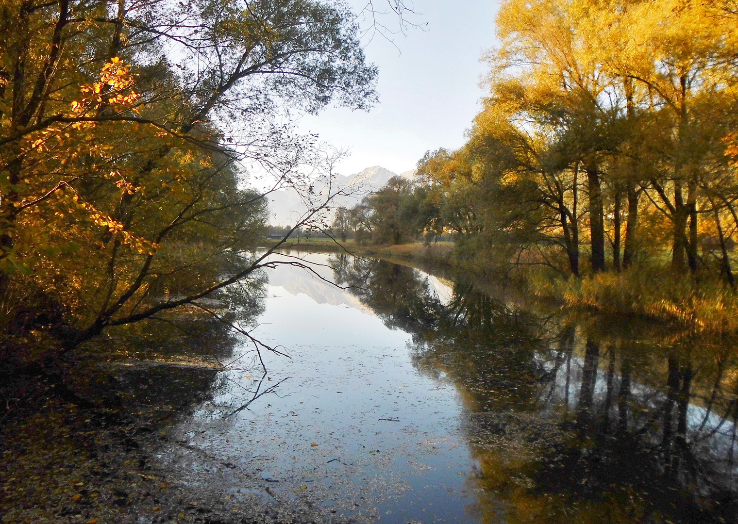 Naturschutzgebiet   Gaisau 4