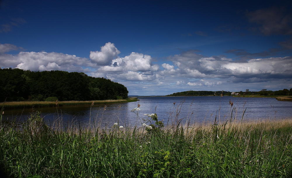 Naturschutzgebiet Geltingerbucht