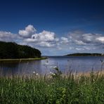 Naturschutzgebiet Geltingerbucht