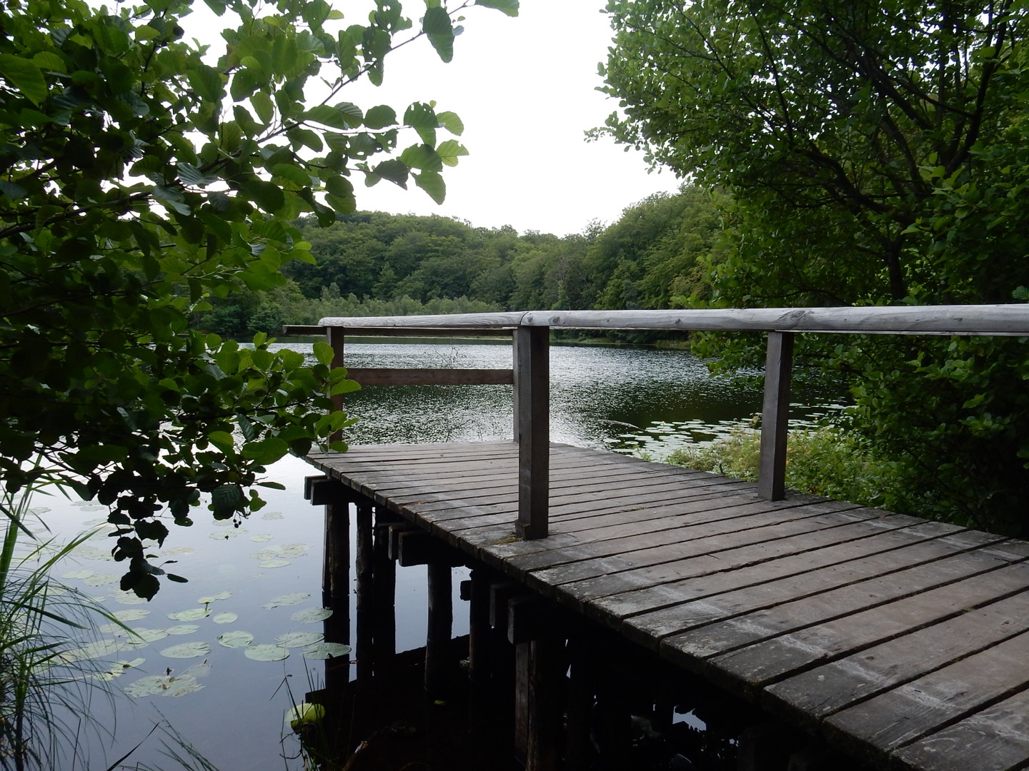 Naturschutzgebiet Granitz - Schwarzer See