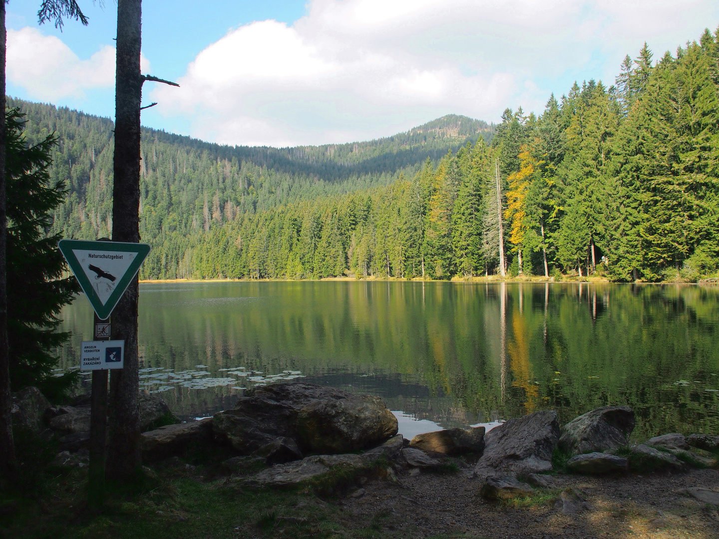 Naturschutzgebiet Großer Arbersee