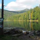 Naturschutzgebiet Großer Arbersee