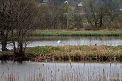 Naturschutzgebiet "Großer Weideteich"