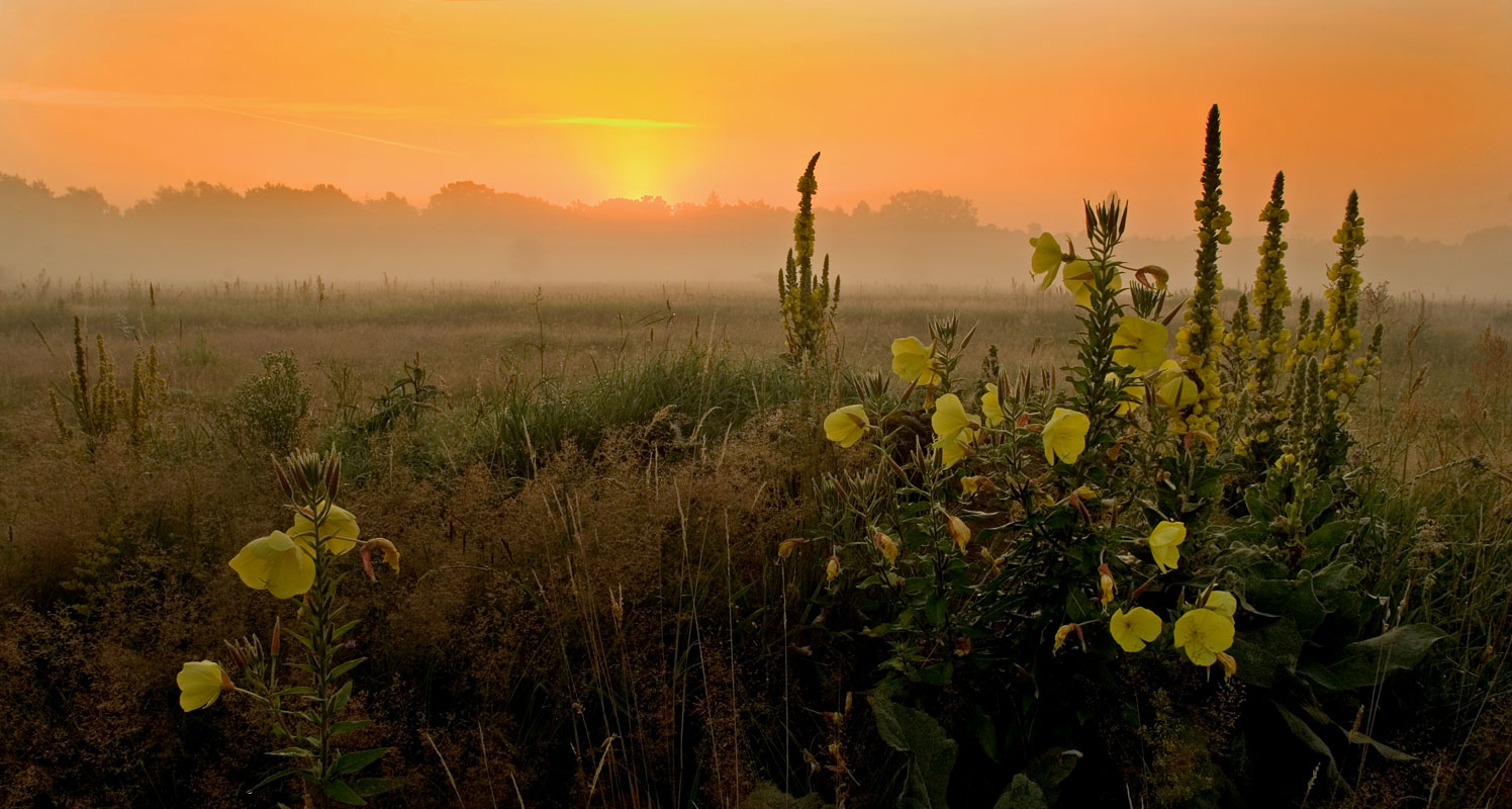 Naturschutzgebiet Hainberg in Fürth Foto & Bild knoblauchsland Bilder