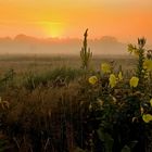 Naturschutzgebiet Hainberg in Fürth