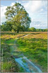 Naturschutzgebiet "Heilges Meer"