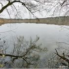 Naturschutzgebiet "Heilges Meer" im nördlichen Münsterland