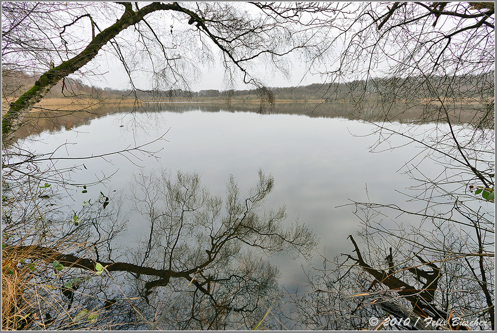 Naturschutzgebiet "Heilges Meer" im nördlichen Münsterland Foto & Bild