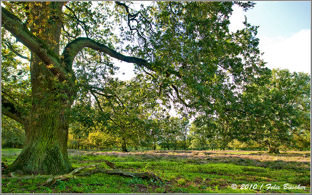 Naturschutzgebiet "Heiliges Meer"