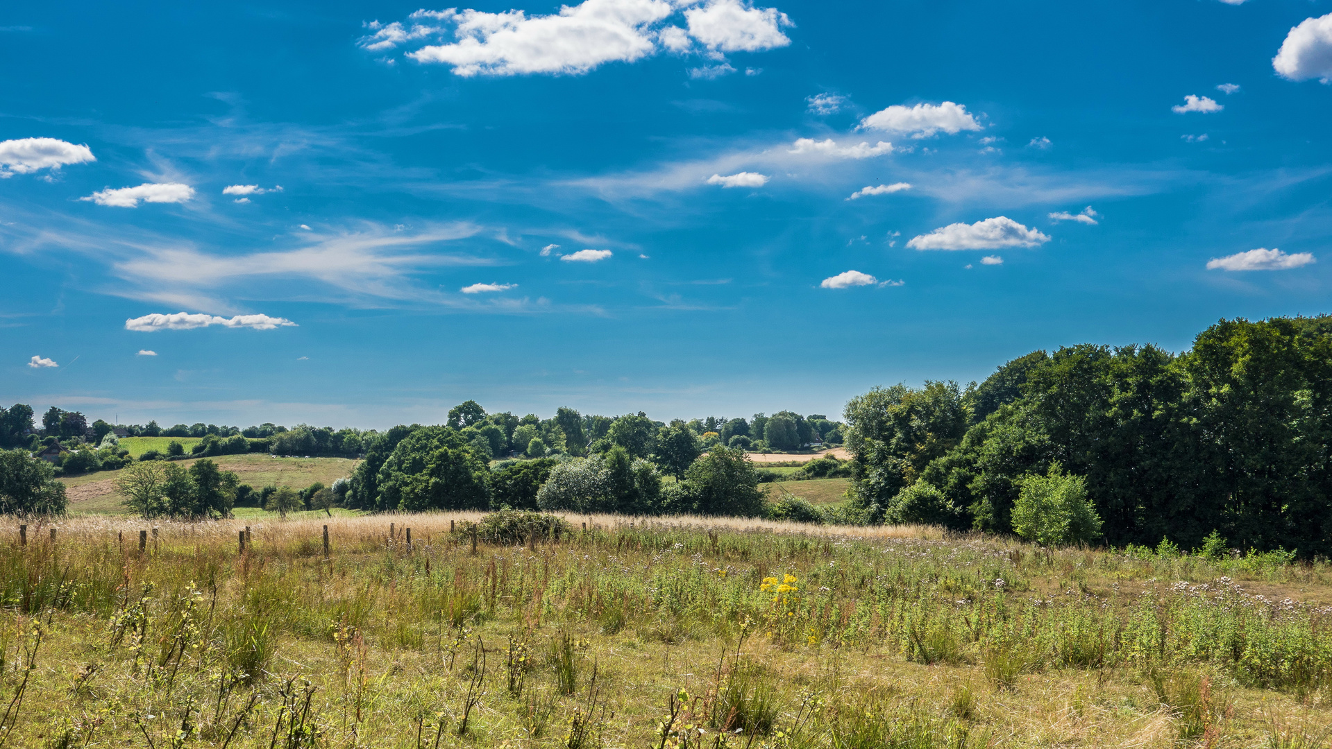 Naturschutzgebiet Höftland-Bockholmwik