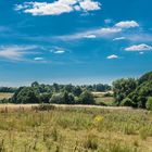 Naturschutzgebiet Höftland-Bockholmwik