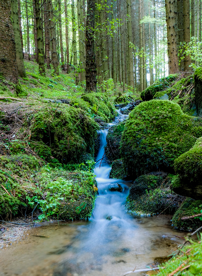 Naturschutzgebiet Hölle 