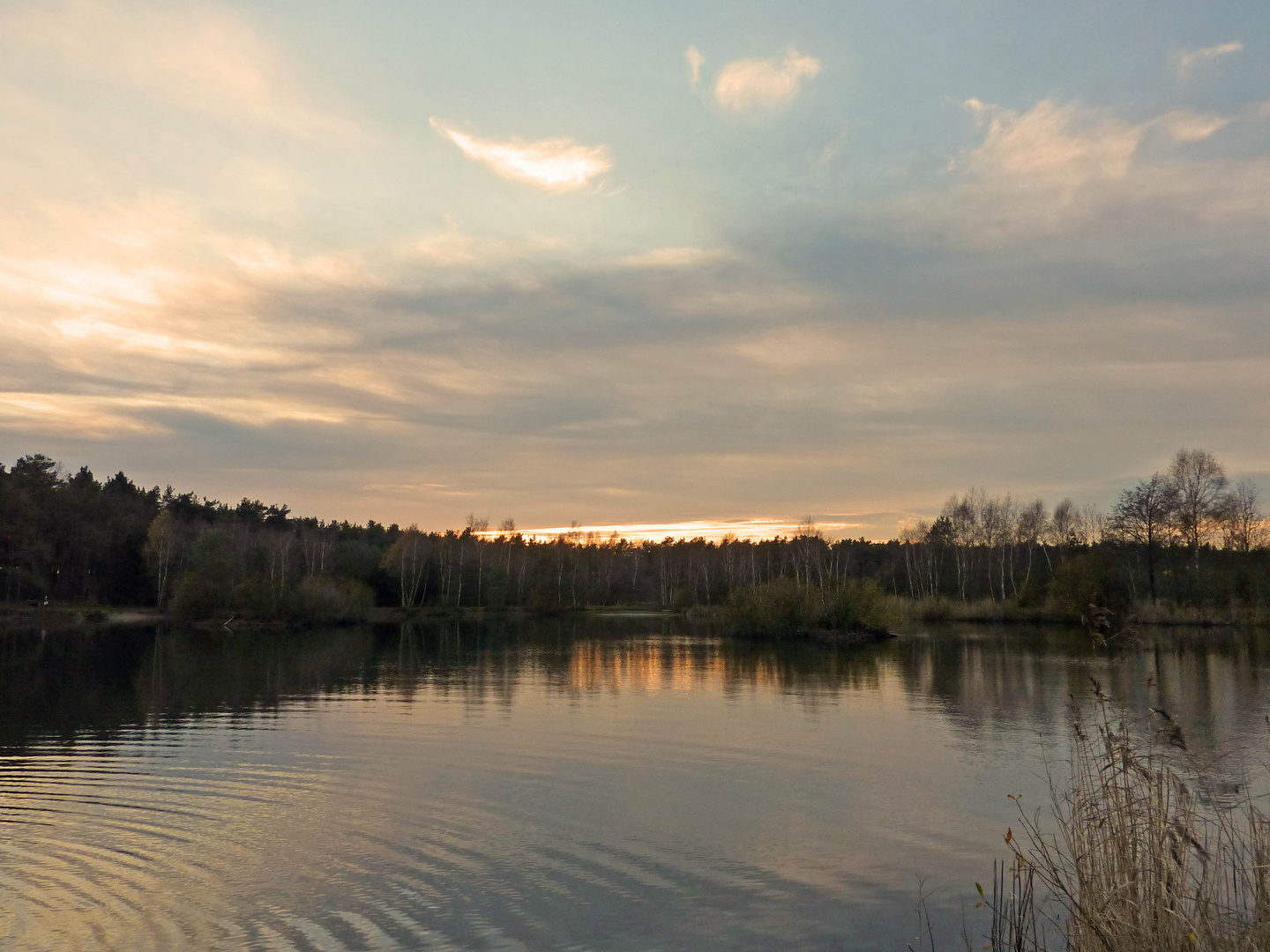 Naturschutzgebiet Holmer Sandberge