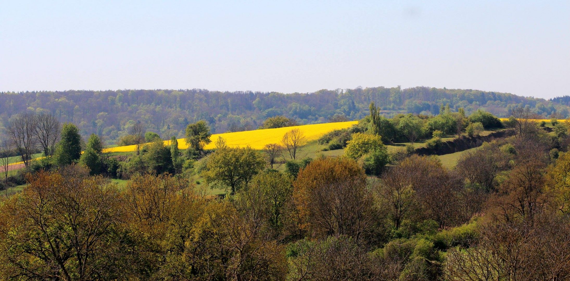 Naturschutzgebiet im Frühling