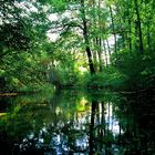 Naturschutzgebiet in Belp, Schweiz