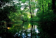 Naturschutzgebiet in Belp, Schweiz