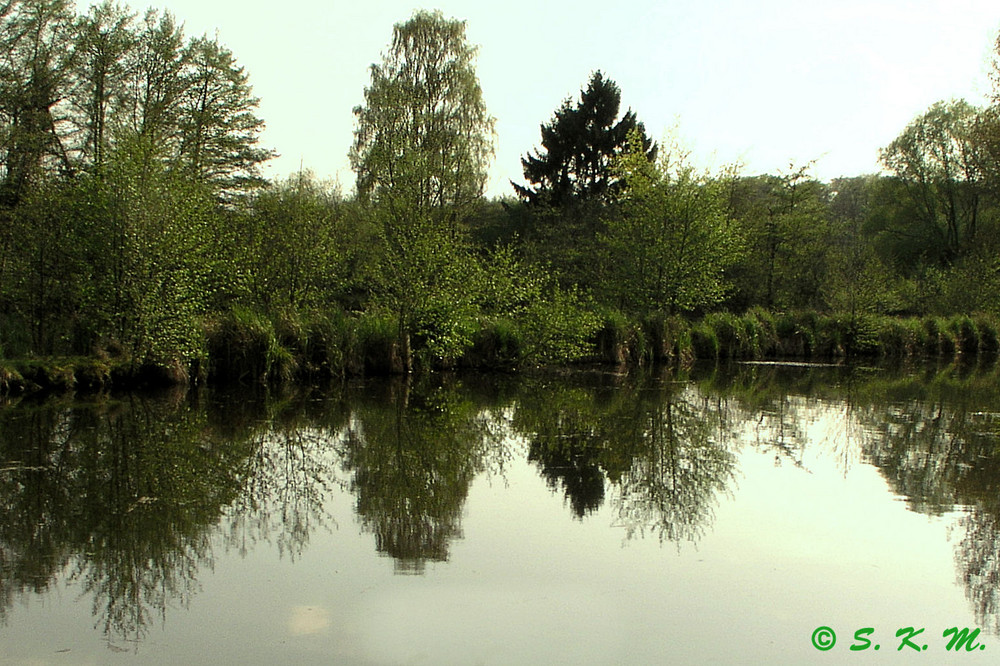 Naturschutzgebiet in Büttelborn