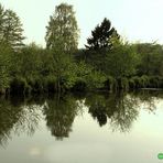 Naturschutzgebiet in Büttelborn