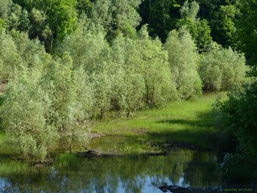Naturschutzgebiet 'In den Eichen' Polle a.d. Weser Foto & Bild