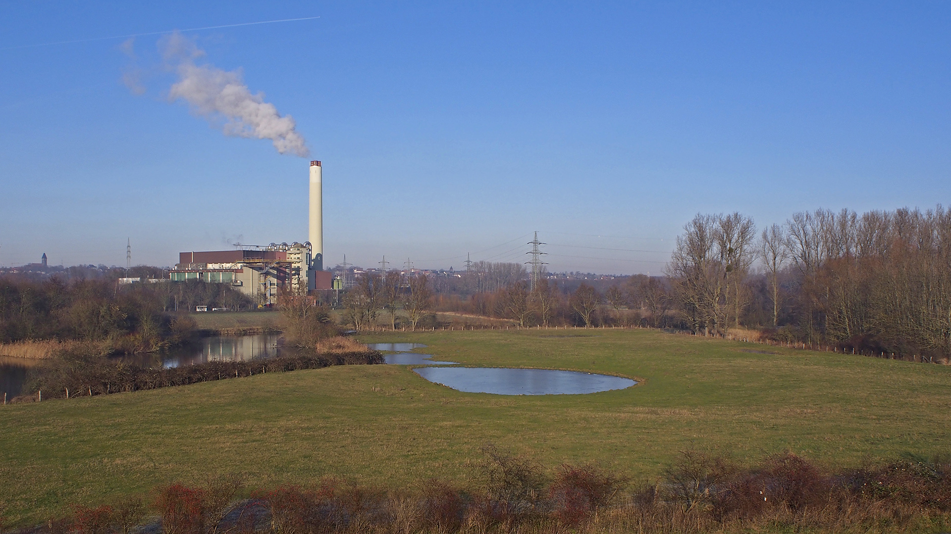 Naturschutzgebiet in der Lippeaue mit Müllverbrennungsanlage