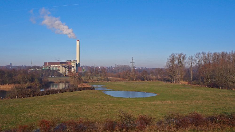 Naturschutzgebiet in der Lippeaue mit Müllverbrennungsanlage