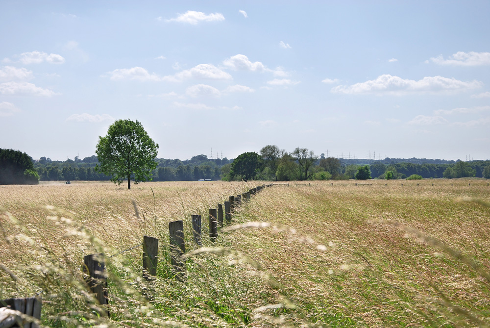 Naturschutzgebiet in Schwerte