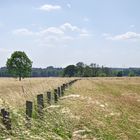 Naturschutzgebiet in Schwerte