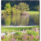 Naturschutzgebiet in Xanten