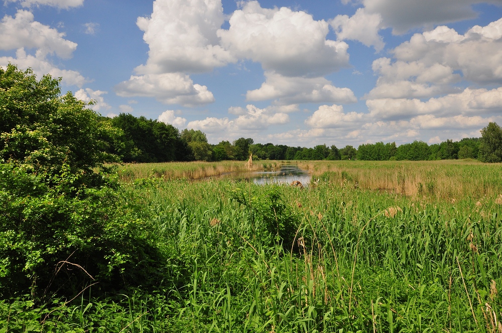 Naturschutzgebiet Karower Teiche.........