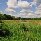 Naturschutzgebiet Karower Teiche.........