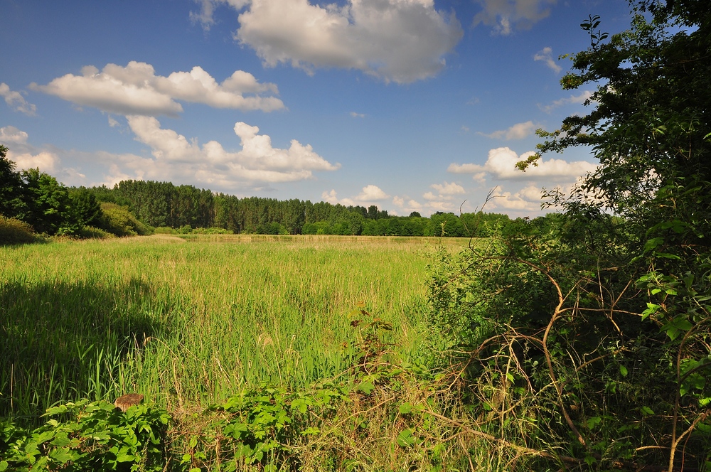 Naturschutzgebiet Karower Teiche........