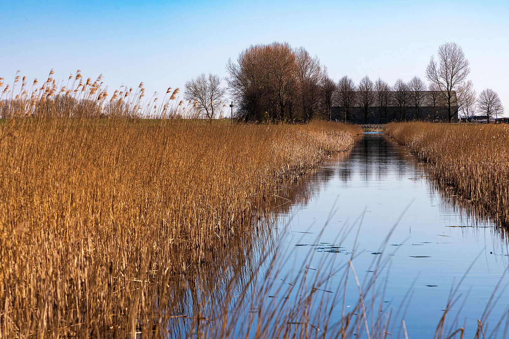 Naturschutzgebiet Lauwersmeer  