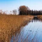 Naturschutzgebiet Lauwersmeer  