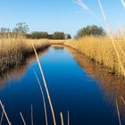 naturschutzgebiet Lauwersmeer