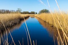 naturschutzgebiet Lauwersmeer