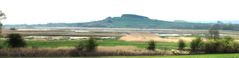 Naturschutzgebiet Leinepolder bei Salzderhelden.