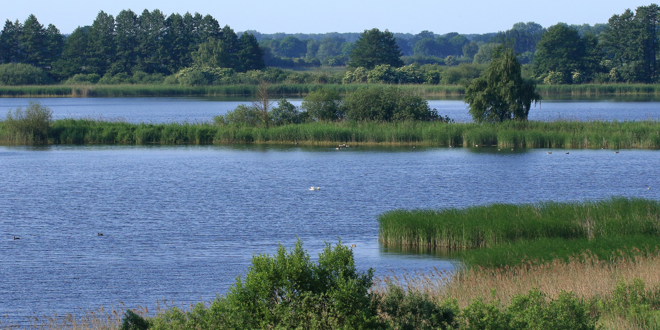 Naturschutzgebiet LewitzerFischteiche, mit AudioLink Foto & Bild