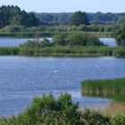 Naturschutzgebiet Lewitzer-Fischteiche, mit Audio-Link