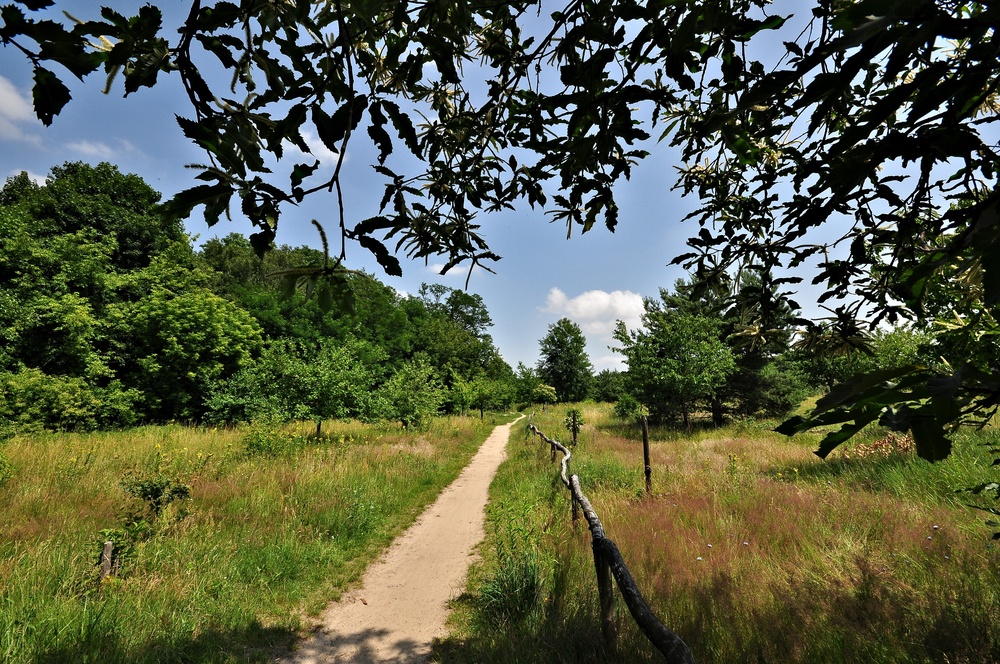 Naturschutzgebiet "Mauerweg" (Streuobstwiese)........