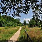 Naturschutzgebiet "Mauerweg" (Streuobstwiese)........