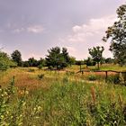 Naturschutzgebiet "Mauerweg" (Streuobstwiese).........