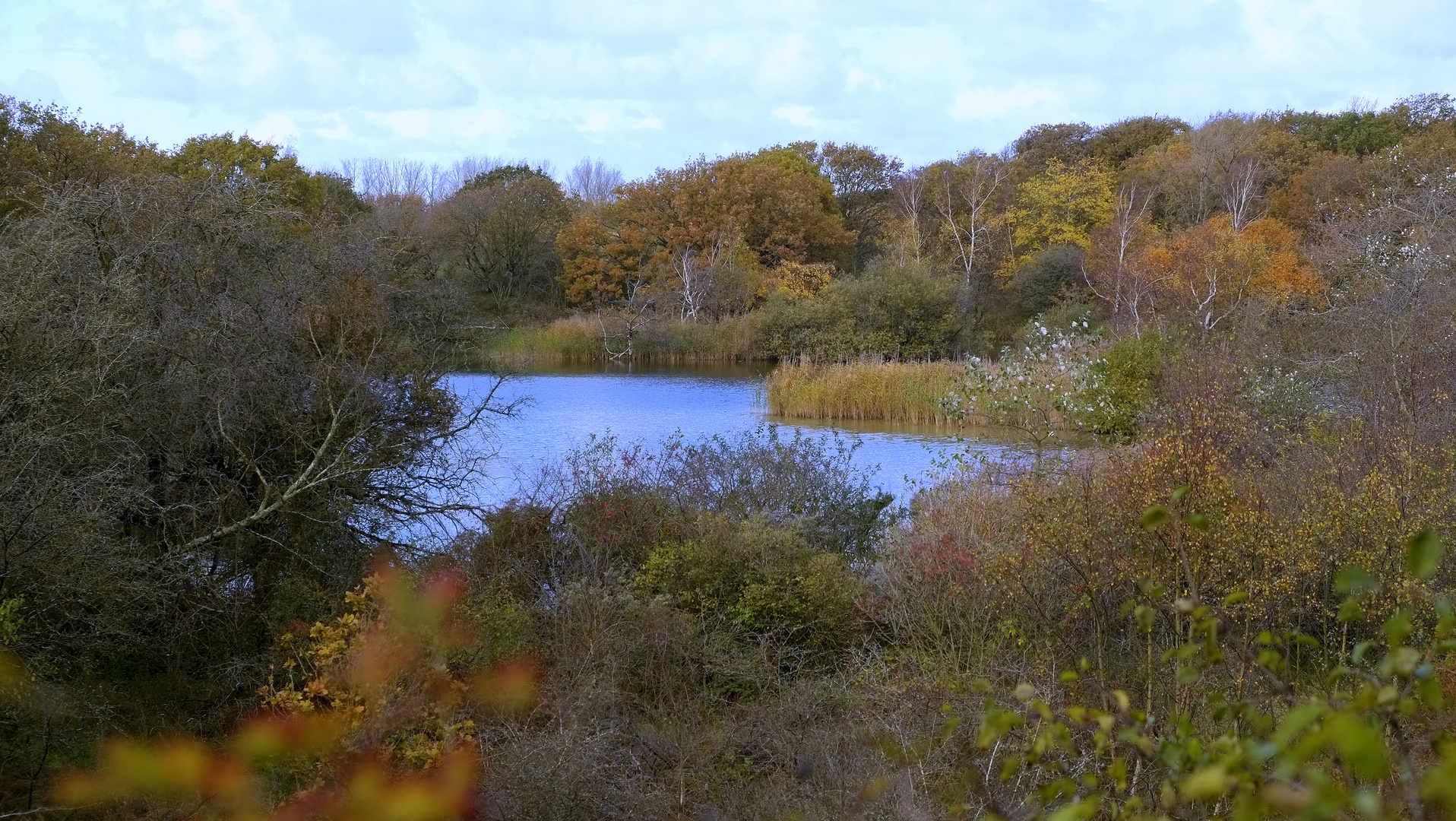 Naturschutzgebiet Mejendel