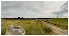 Naturschutzgebiet Morsum Kliff, Sylt